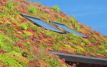 Hough Green living roof systems