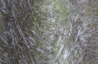 Hough Green fibreglass roof work